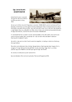 A preview of a PDF biography for Buntin, James